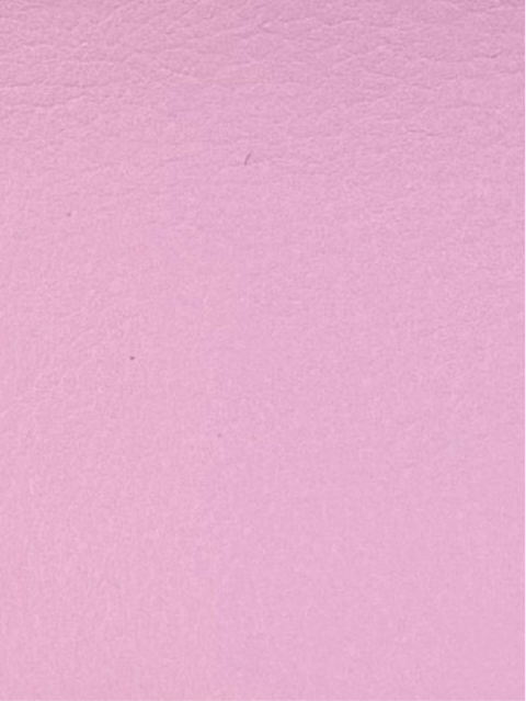 Chanel WOC Deluxe PU Leather Edition Base & Side Saver