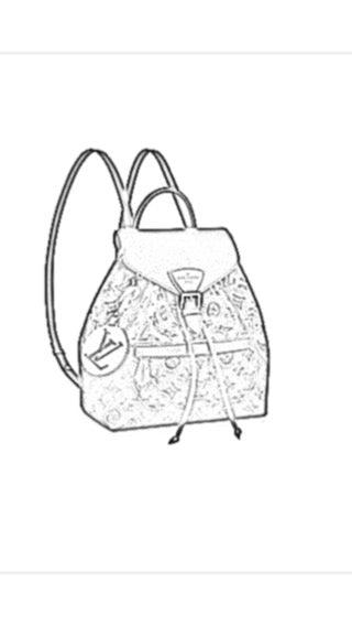 Louis Vuitton Montsouris Backpack Handbag Liner